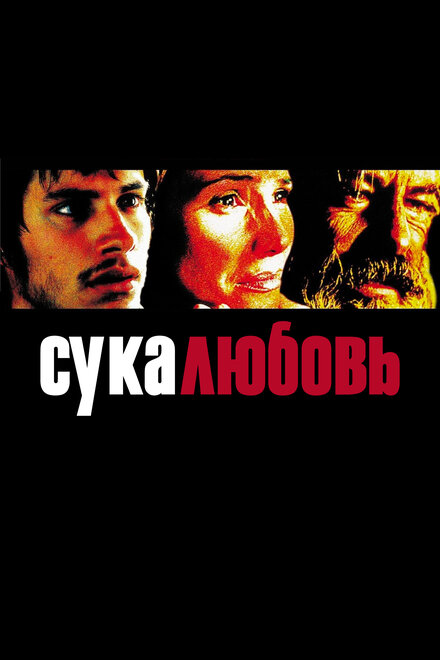 Сука-любовь