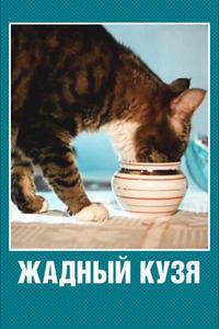 Жадный Кузя Жадный Кузя