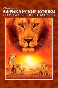 Африканские кошки: Королевство смелых Африканские кошки: Королевство смелых