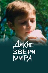 Дикие звери мира Дикие звери мира