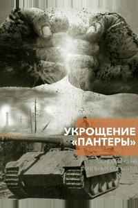Укрощение «Пантеры»
